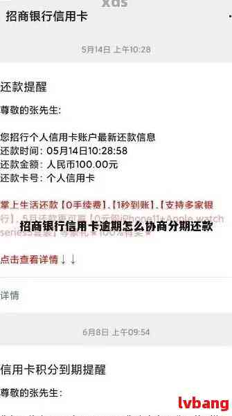 招行信用卡逾期还款问题解决指南：分期还不上怎么办？