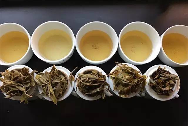 普洱茶的品质与功效：好茶还是坏茶？