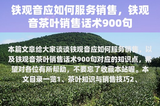 全方位解析：普洱茶叶销售技巧与话术，900句助力您成为专业销售人员