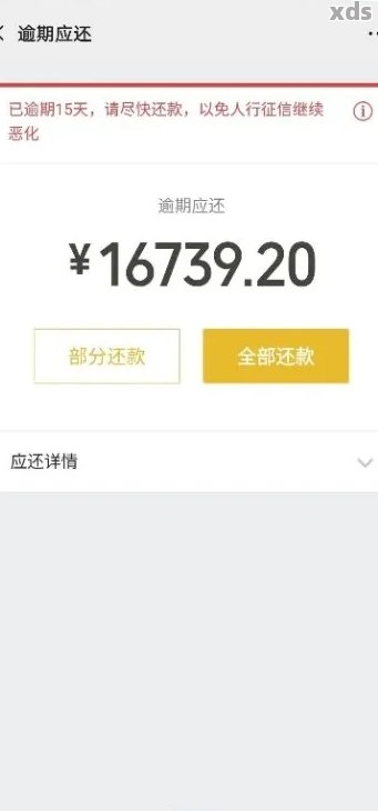 微粒贷还款方式对比：一次性还清与分期还款哪个更省钱？