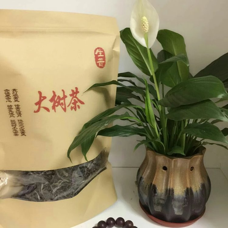 西双版纳旅行：品味普洱茶文化的独特体验