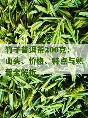 普洱茶竹子：哪个山头出产的茶叶？产地特点与口感解析