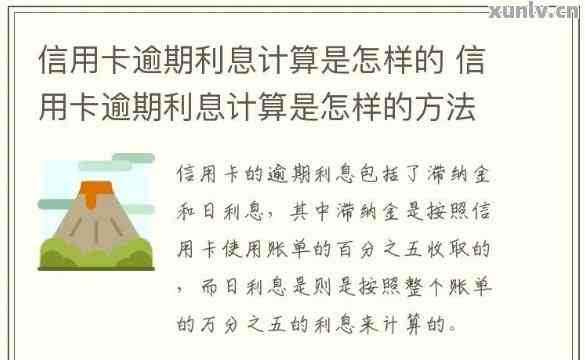 规定信用卡逾期费息怎么算：计算方法与影响因素解析