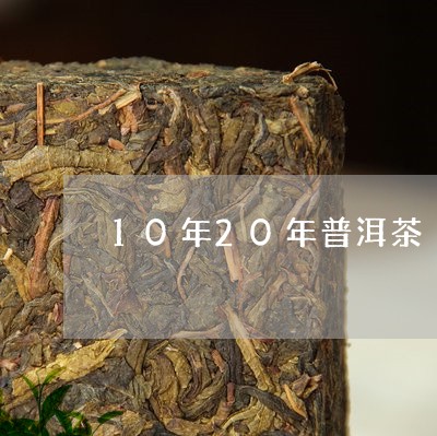 普洱茶20年年份