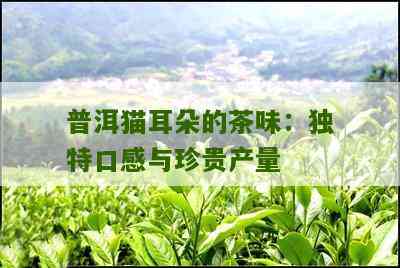 云南普洱茶：探寻猫耳朵茶叶的地域特色与文化底蕴