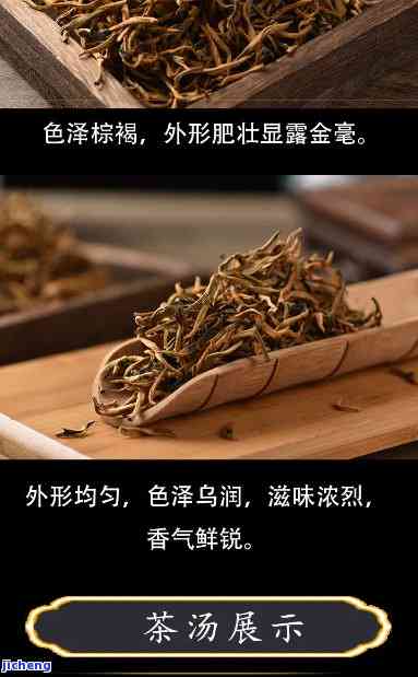 普洱茶小金芽颜色