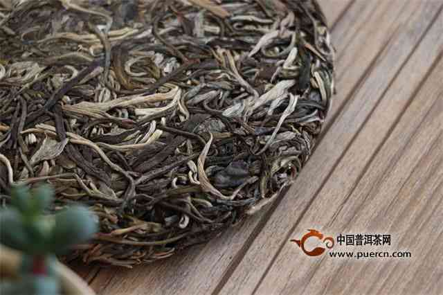 昆明之春普洱茶