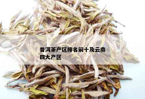 云南大产区普洱茶