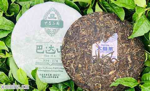 新2020年布朗山普洱茶，357克纯正古树茶价格解析与品鉴指南