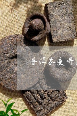 普洱茶自然变异茶：品种、品质、功效与泡法的全面解析