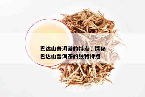 巴达山普洱茶好吗？值得买吗？口感特点如何？不受欢迎的原因是什么？