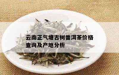 云南正气塘茶叶产自哪个茶区？