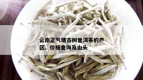 云南正气塘茶叶产自哪个茶区？