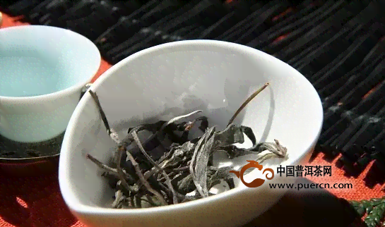 普洱茶四皆宜，不同节品茗有何讲究？