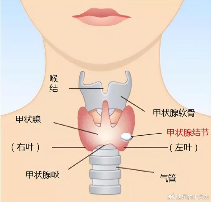 玉坠佩戴与甲状腺结节：影响因素及科学解释