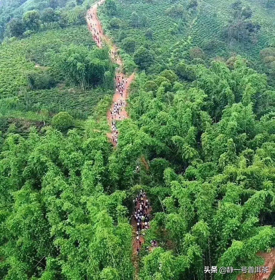 '红陈年普洱茶价格表：1958罐装 - 评价，种类与区别'