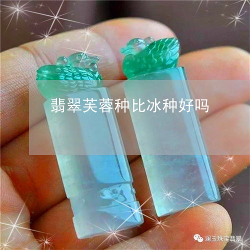 冰种水种玻璃与糯种的比较：哪个更好？