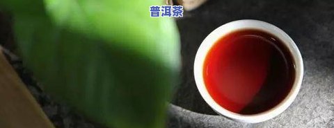 普洱茶推荐语，品人生经典，20字简短发朋友圈