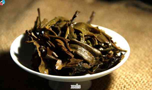 普洱大叶茶有什么好处-普洱大叶茶有什么好处和坏处