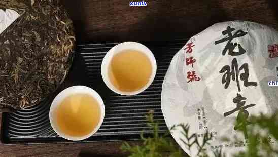 老班章普洱茶：独特风味、醇厚口感与健益处的秘密解析