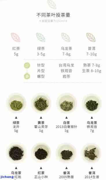 普洱茶冲泡量推荐：如何确定冲泡比例以获得口感与品质