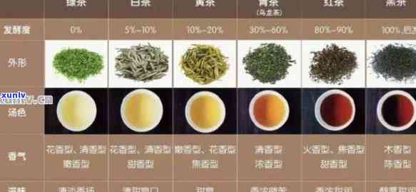 红茶、普洱茶与绿茶：功效差异与选择指南