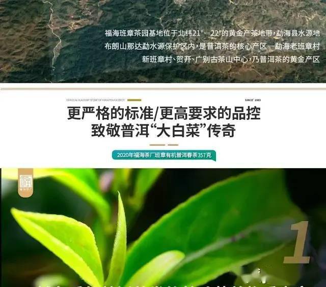 福海开古树茶：价格表、品质评价及创立背景解析