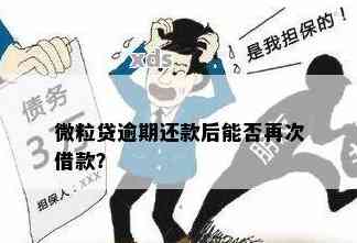 微粒贷逾期还款：是否涉及到小号账户？安全性如何保障？