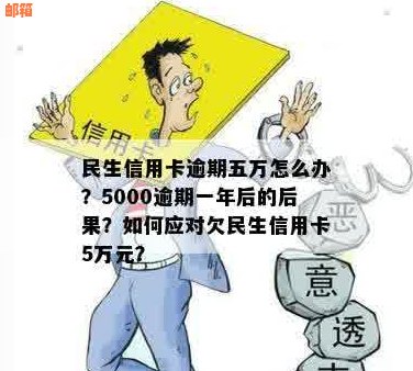 欠民生信用卡5万元，现在没钱还怎么办？