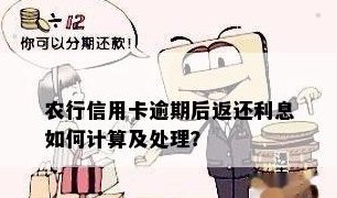 农信社逾期还款利息解决全攻略：如何规划、处理与避免逾期风险