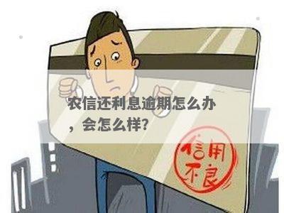 黑龙江农信说我逾期