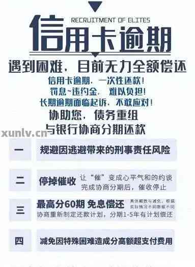 关于逾期级别的全面解析：从m级别到应对策略，一次性解决您的所有疑问