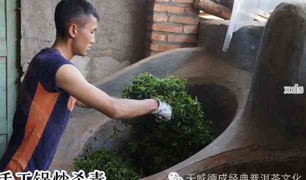 探究普洱茶制作过程中的独特旧化技巧