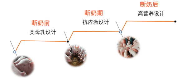 新和田玉密封袋内出现水迹现象探析：原因、影响及如何预防