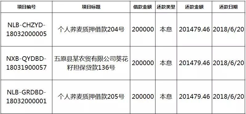 如何有效管理20万元负债并每月仅需4000元进行还款？