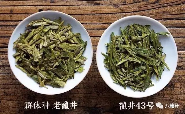 龙井新茶品鉴：品质、制作工艺与口感全解析，助你挑选龙井茶