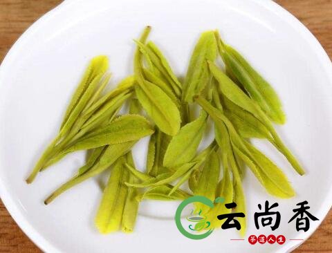 龙井茶新老哪个好？:探讨龙井茶新茶与老茶的口感差异