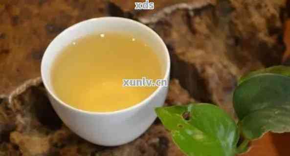 薄荷塘普洱茶生茶全面解析：价格、品质、功效及选购指南