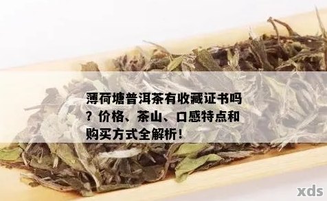 薄荷塘普洱茶生茶全面解析：价格、品质、功效及选购指南