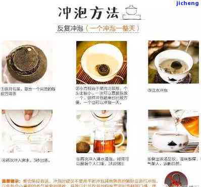 养生壶普洱茶配方大全：冲泡方法与制作步骤详解