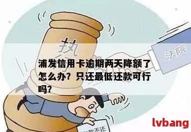 浦发信用卡逾期后多久会降额？如何避免降额并恢复信用额度？