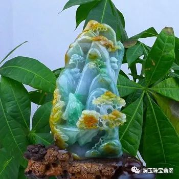 翡翠种植技巧：如何确保有水无种的成功种植？