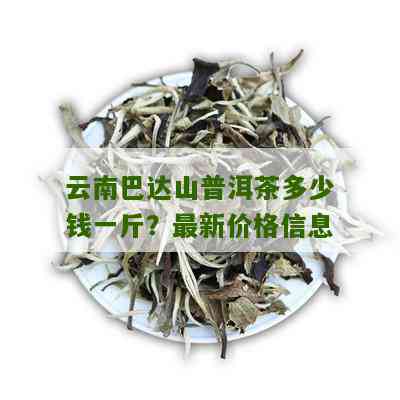 巴达山普洱茶价格及选购指南：了解市场行情，轻松选购优质茶叶