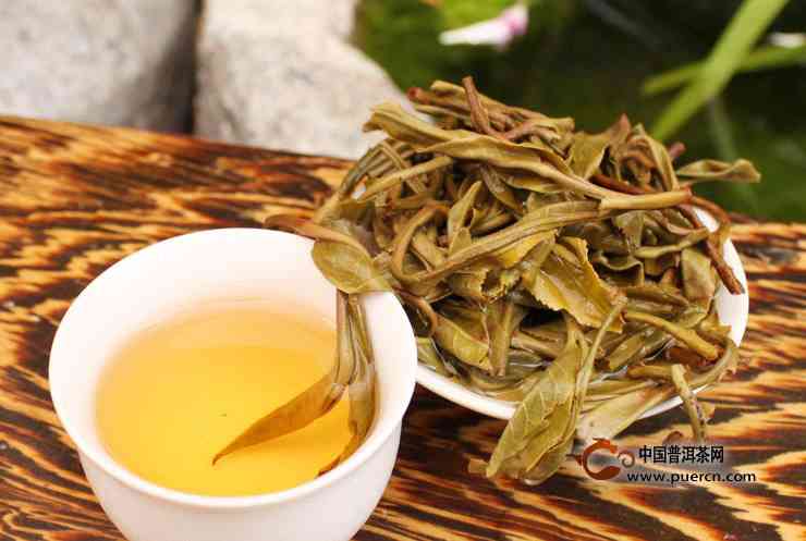 巴达山普洱茶：古树茶特点与魅力