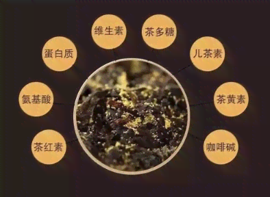 黑茶工艺制作过程涡堆关键步骤表