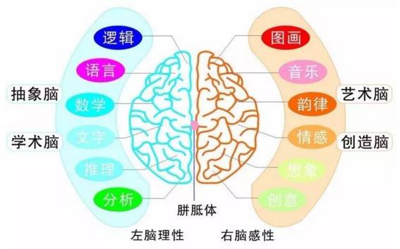 玉龙佩的优缺点分析：它究竟有何益处和潜在风险？