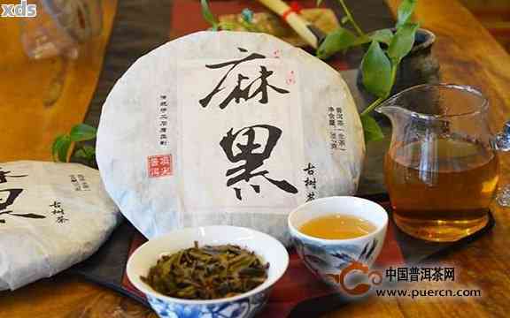 麻黑木普洱茶：品种特点、制作工艺与品饮技巧全面解析