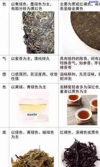 清香苹果口味，独特绿沱茶韵——普洱茶苹果绿沱品鉴之旅