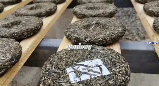 茶树王普洱茶黑印：品质、产地、工艺、口感、功效与泡法全方位解析