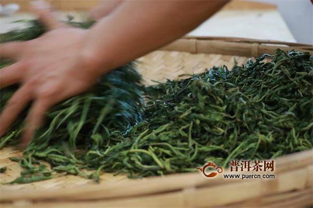 普洱茶的制作过程：炒青还是晒青？了解两种方法及其区别